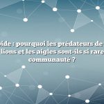 Réponse rapide : pourquoi les prédateurs de haut niveau comme les lions et les aigles sont-ils si rares dans une communauté ?